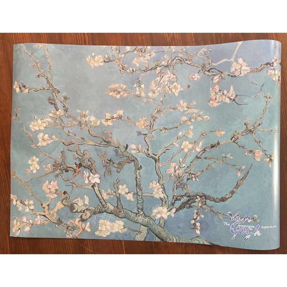 Vincent Van Gogh Almond Blossom Branches  Art Print Poster 20x16